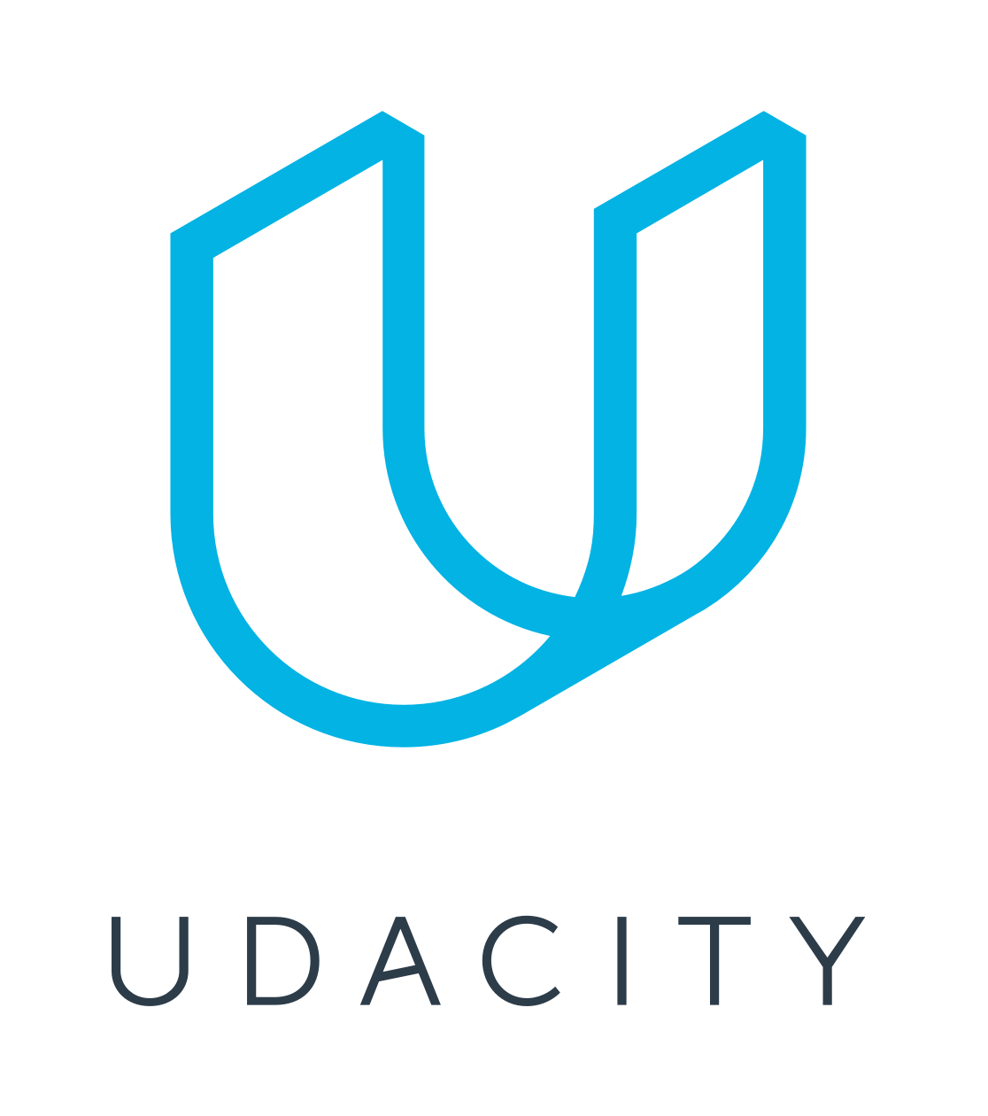 Professional Web Development