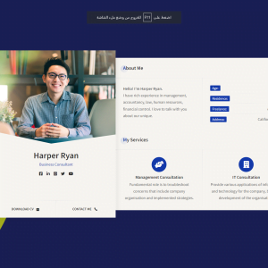 Create a Professional CV