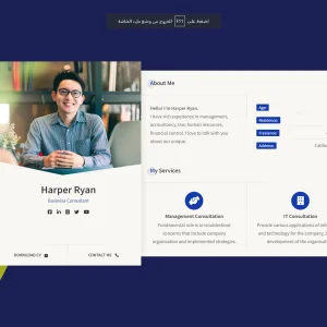 Create a Professional CV